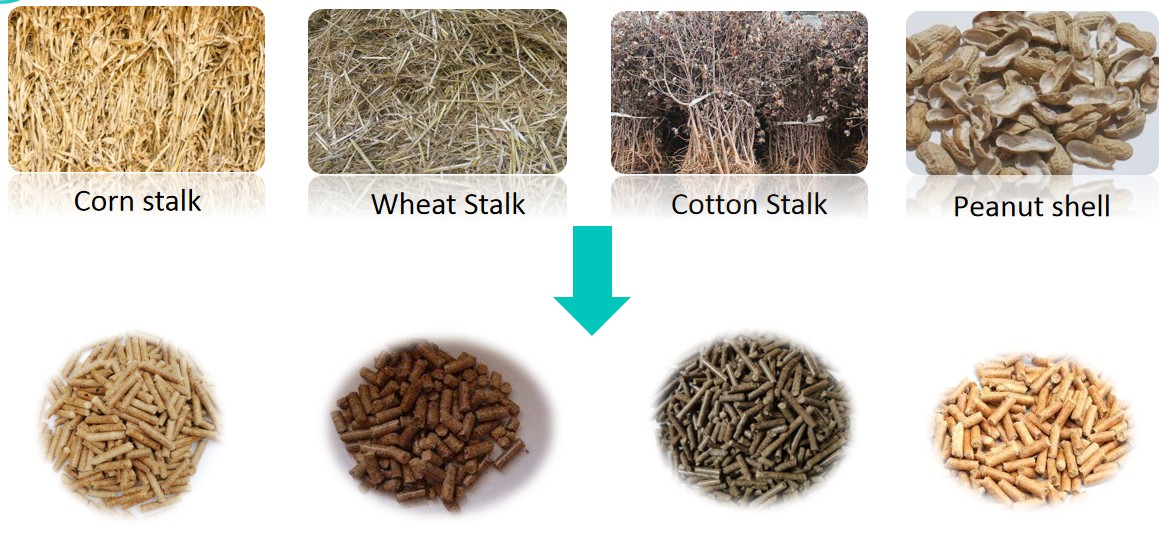 Final Biomass Pellets Made by Beston Pellet Mill