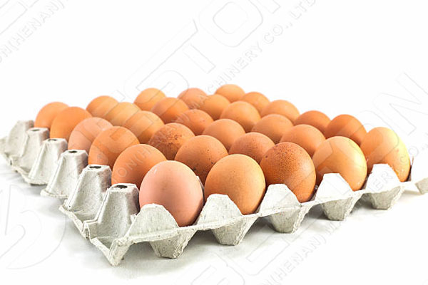 30 Egg Tray