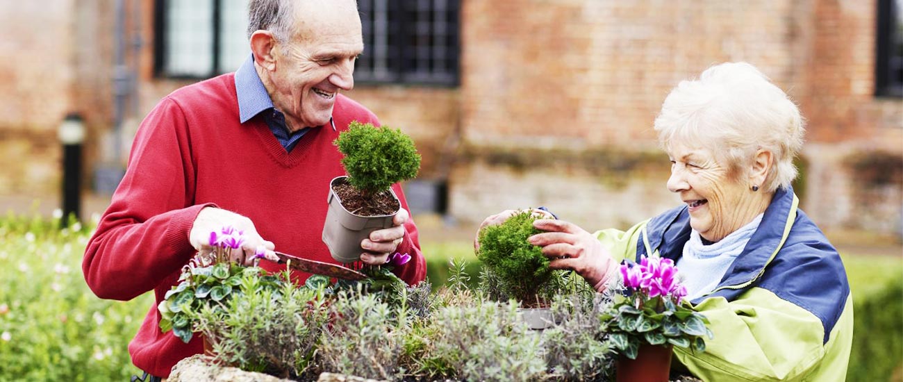 Biochar For Gardening Enthusiasts